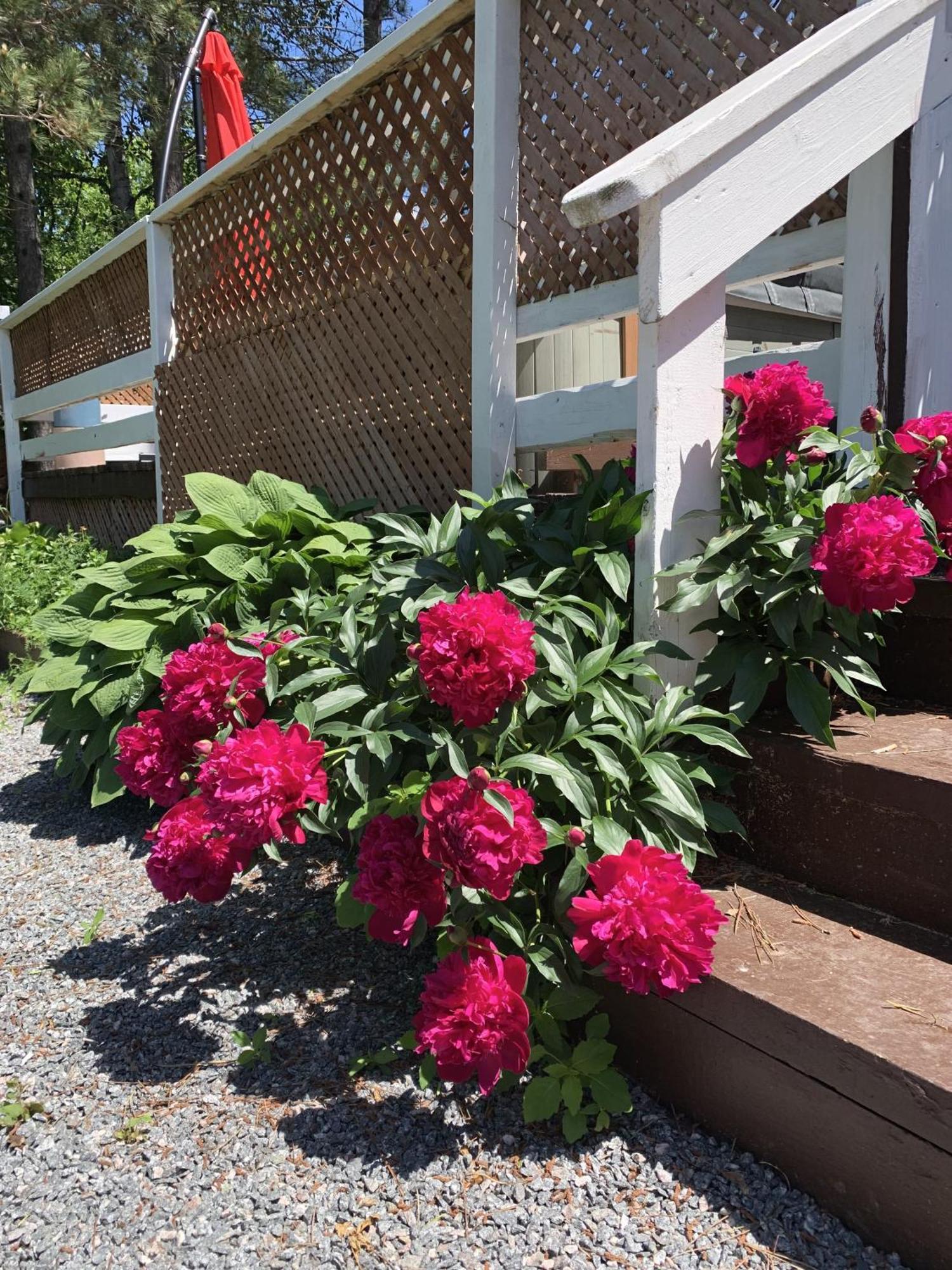 Auberge De Ferme-Neuve Lac-Saint-Paul 外观 照片