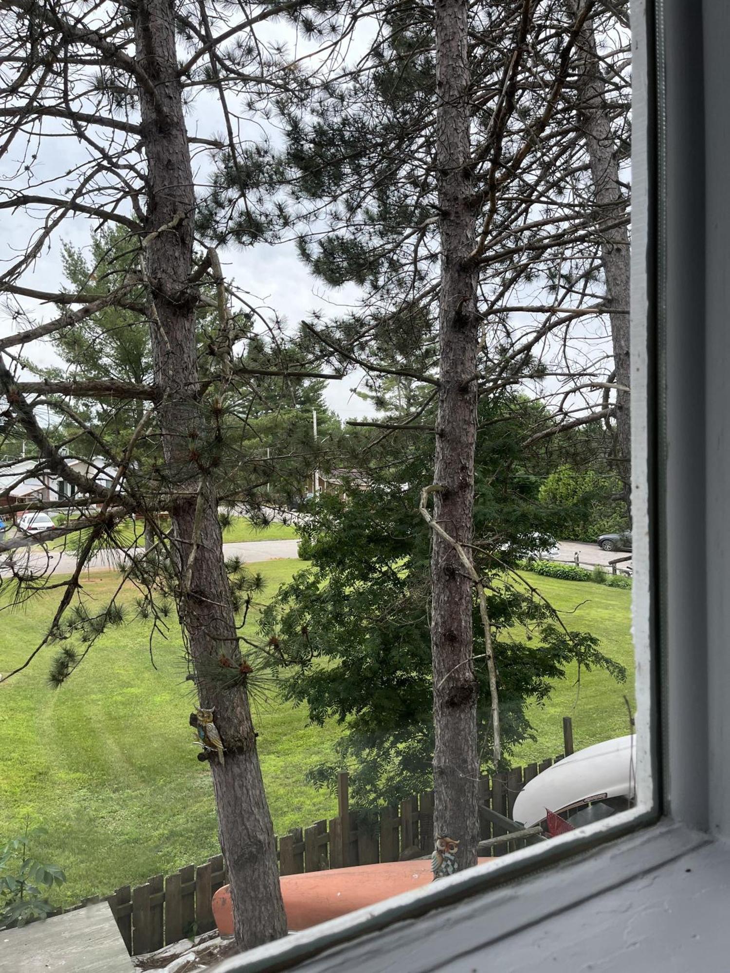 Auberge De Ferme-Neuve Lac-Saint-Paul 外观 照片